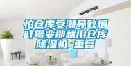 怕仓库受潮导致烟叶霉变那就用仓库除湿机_重复