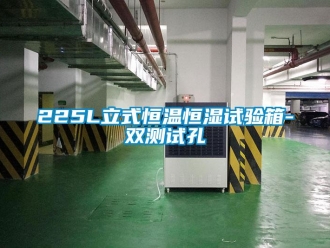 常见问题225L立式恒温恒湿试验箱-双测试孔