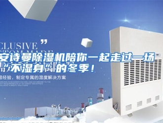 企业动态安诗曼除湿机陪你一起走过一场“不湿身”的冬季！