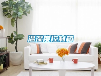企业动态温湿度控制箱
