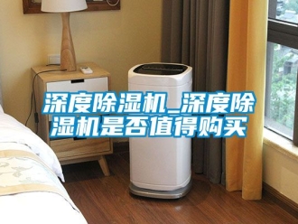 行业资讯深度除湿机_深度除湿机是否值得购买