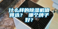 什么样的除湿机值得选？ 哪个牌子好？