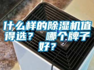行业资讯什么样的除湿机值得选？ 哪个牌子好？
