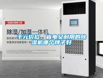 行业资讯千元价位，省电又耐用的除湿机哪个牌子好