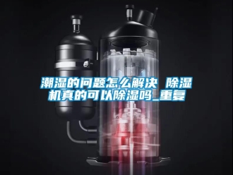 企业动态潮湿的问题怎么解决 除湿机真的可以除湿吗_重复