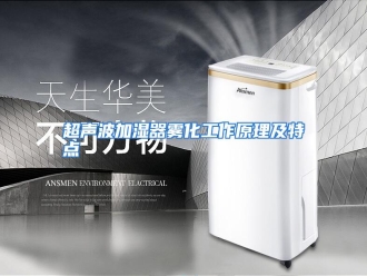 知识百科超声波加湿器雾化工作原理及特点