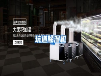 行业资讯坑道除湿机