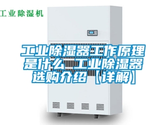 行业资讯工业除湿器工作原理是什么 工业除湿器选购介绍【详解】