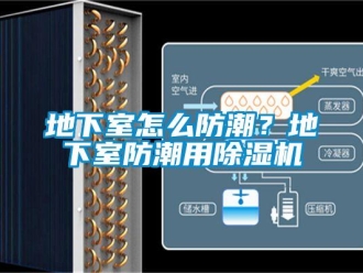行业资讯地下室怎么防潮？地下室防潮用除湿机