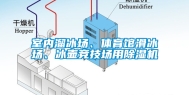 室内溜冰场、体育馆滑冰场、冰壶竞技场用除湿机