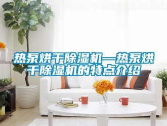 行业资讯热泵烘干除湿机—热泵烘干除湿机的特点介绍