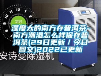 企业动态湿度大的南方存普洱茶-南方潮湿怎么样保存普洱茶(29日更新／今日图文)2022已更新