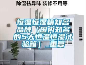 知识百科恒温恒湿箱知名品牌（国内知名的5大恒温恒湿试验箱）_重复