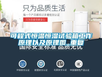 知识百科可程式恒温恒湿试验箱工作原理以及原理图_重复