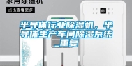 半导体行业除湿机，半导体生产车间除湿系统_重复