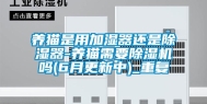 养猫是用加湿器还是除湿器-养猫需要除湿机吗(6月更新中)_重复