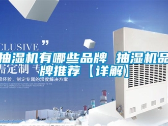 企业动态抽湿机有哪些品牌 抽湿机品牌推荐【详解】
