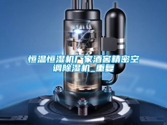 企业动态恒温恒湿机厂家酒窖精密空调除湿机_重复