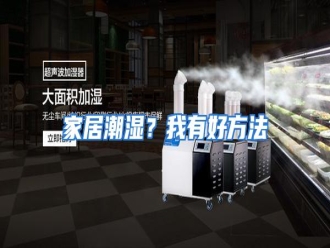 行业资讯家居潮湿？我有好方法