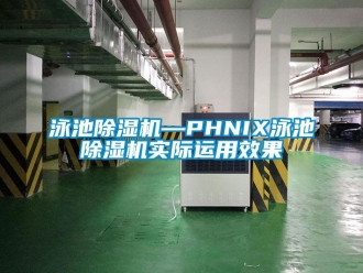行业资讯泳池除湿机—PHNIX泳池除湿机实际运用效果