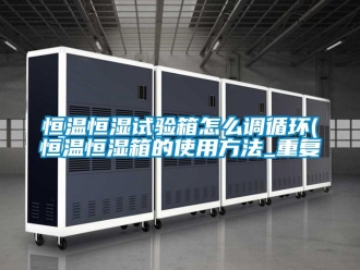 知识百科恒温恒湿试验箱怎么调循环(恒温恒湿箱的使用方法_重复