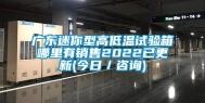 广东迷你型高低温试验箱哪里有销售2022已更新(今日／咨询)