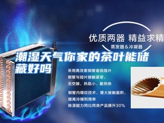 常见问题潮湿天气你家的茶叶能储藏好吗