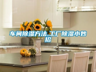 企业动态车间除湿方法,工厂除湿小妙招