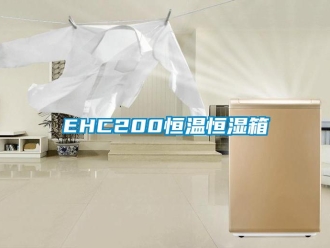 常见问题EHC200恒温恒湿箱