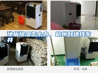 常见问题地板除湿怎么办，杭州舒逸找东井