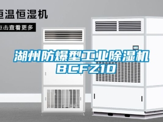 企业动态湖州防爆型工业除湿机 BCFZ10