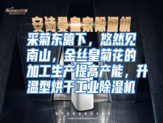 知识百科采菊东篱下，悠然见南山，金丝皇菊花的加工生产提高产能，升温型烘干工业除湿机