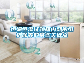 知识百科恒温恒湿试验箱内部的维护保养的某些关键点