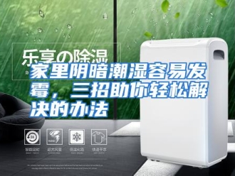 行业资讯家里阴暗潮湿容易发霉，三招助你轻松解决的办法