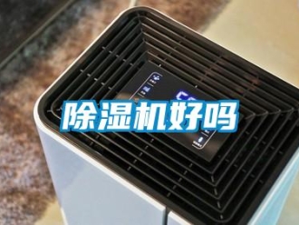常见问题除湿机好吗