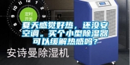 夏天感觉好热，还没安空调。买个小型除湿器可以缓解热感吗？