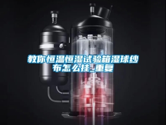 知识百科教你恒温恒湿试验箱湿球纱布怎么挂_重复