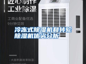 行业资讯冷冻式除湿机和转轮除湿机优劣分析