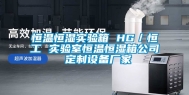 恒温恒湿实验箱 HG／恒工 实验室恒温恒湿箱公司 定制设备厂家