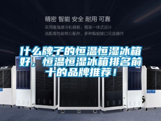 知识百科什么牌子的恒温恒湿冰箱好，恒温恒湿冰箱排名前十的品牌推荐！