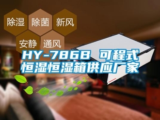 常见问题HY-786B 可程式恒湿恒湿箱供应厂家