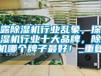 企业动态揭露除湿机行业乱象，探索除湿机行业十大品牌，除湿机哪个牌子最好！_重复