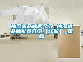 企业动态抽湿机品牌哪个好 抽湿机品牌推荐介绍【详解】_重复