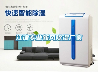 企业动态江津专业新风除湿厂家