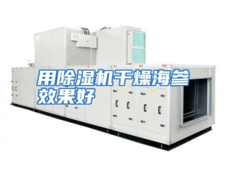行业资讯用除湿机干燥海参效果好