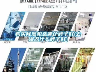 行业资讯购买除湿机选哪个牌子好(去湿器什么牌子好)