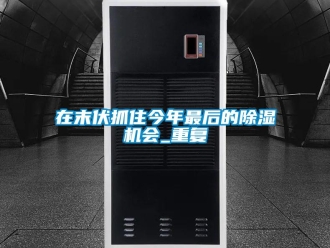 行业资讯在末伏抓住今年最后的除湿机会_重复