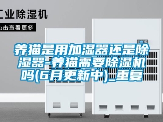 行业资讯养猫是用加湿器还是除湿器-养猫需要除湿机吗(6月更新中)_重复