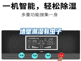 行业资讯墙壁潮湿有虫子