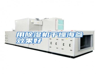 行业资讯用除湿机干燥海参效果好